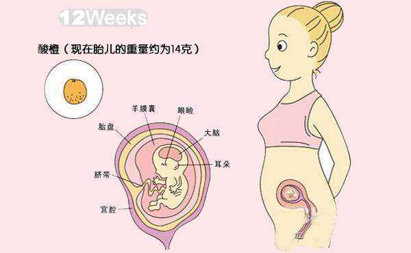 广州供卵试管检查要做多久时间才能怀孕