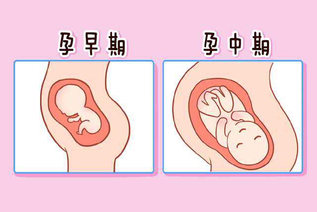 广州如何找代孕中介，广州传承生殖医学中心