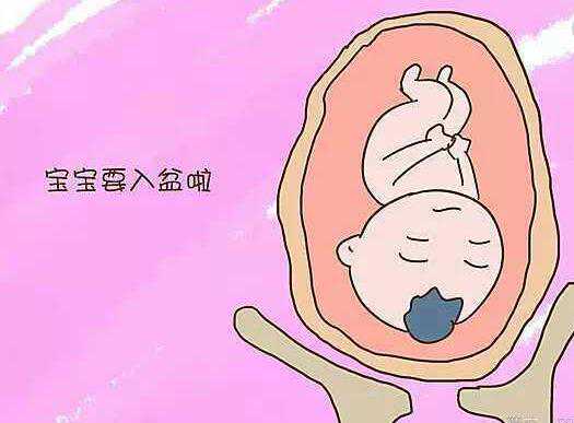 广州最靠谱代孕中心-广州医院做代孕需要多少钱？