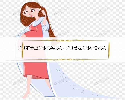 广州有专业供卵助孕机构，广州合法供卵试管机构