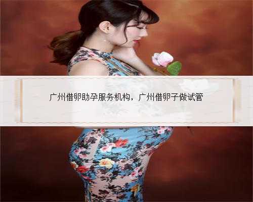 广州借卵助孕服务机构，广州借卵子做试管