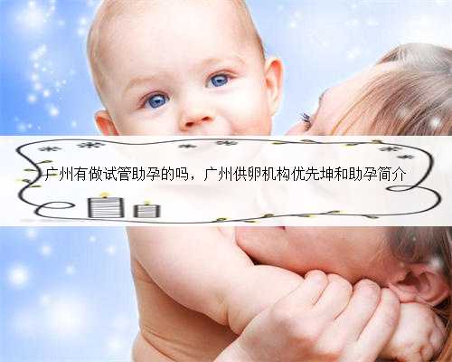 广州有做试管助孕的吗，广州供卵机构优先坤和助孕简介