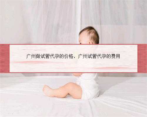 广州做试管代孕的价格，广州试管代孕的费用