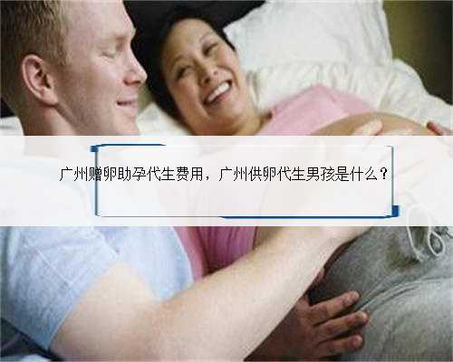 广州赠卵助孕代生费用，广州供卵代生男孩是什么？
