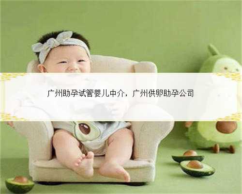 广州助孕试管婴儿中介，广州供卵助孕公司