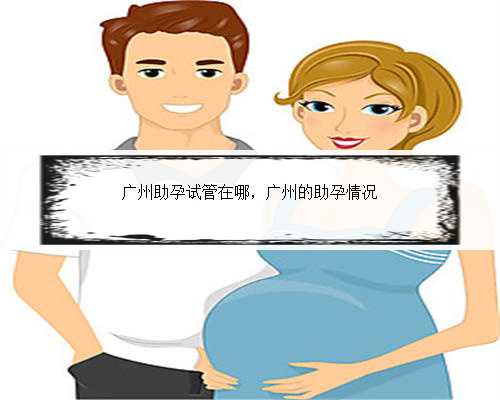 广州助孕试管在哪，广州的助孕情况