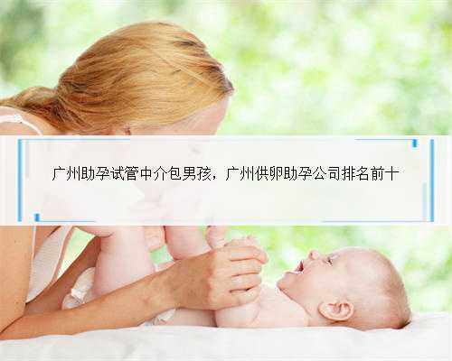 广州助孕试管中介包男孩，广州供卵助孕公司排名前十