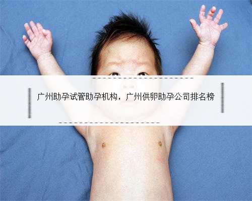广州助孕试管助孕机构，广州供卵助孕公司排名榜