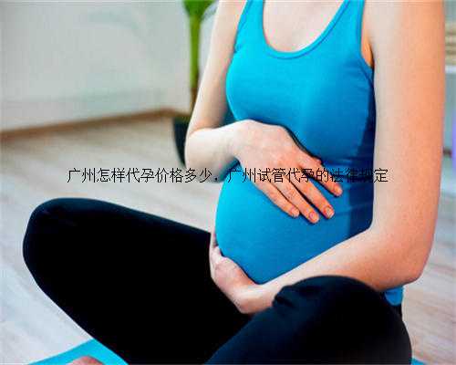 广州怎样代孕价格多少，广州试管代孕的法律规定