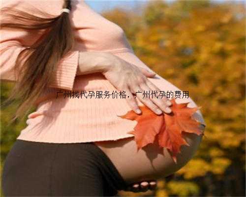广州找代孕服务价格，广州代孕的费用