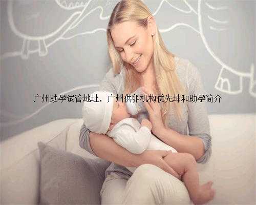 广州助孕试管地址，广州供卵机构优先坤和助孕简介