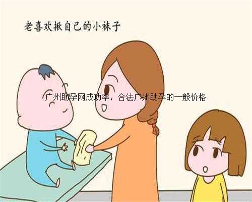 广州助孕网成功率，合法广州助孕的一般价格