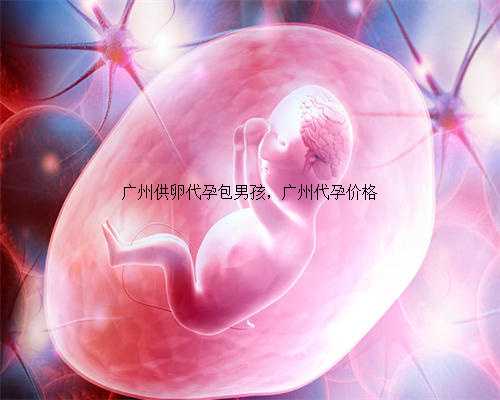广州供卵代孕包男孩，广州代孕价格