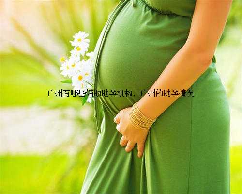 广州有哪些辅助助孕机构，广州的助孕情况