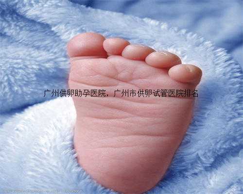 广州供卵助孕医院，广州市供卵试管医院排名