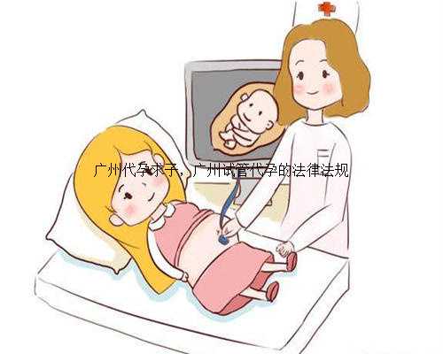 广州代孕求子，广州试管代孕的法律法规