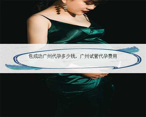 包成功广州代孕多少钱，广州试管代孕费用