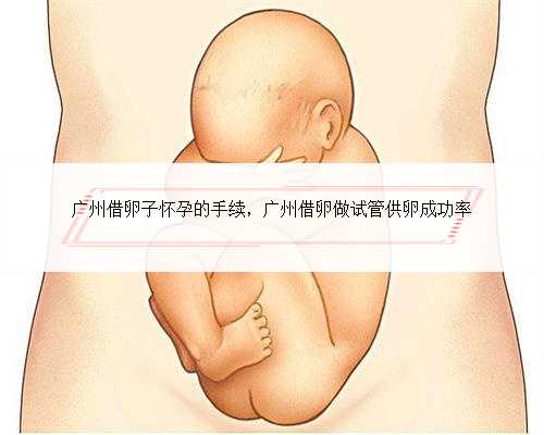 广州借卵子怀孕的手续，广州借卵做试管供卵成功率