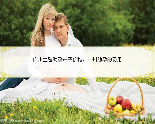 广州生殖助孕产子价格，广州助孕的费用