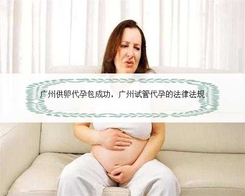 广州供卵代孕包成功，广州试管代孕的法律法规