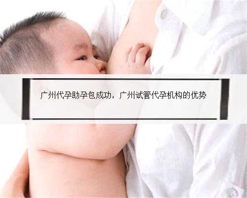 广州代孕助孕包成功，广州试管代孕机构的优势