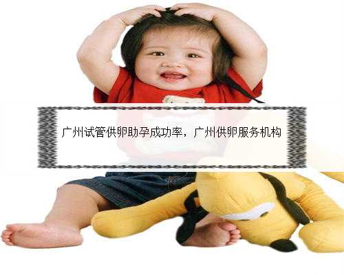 广州试管供卵助孕成功率，广州供卵服务机构
