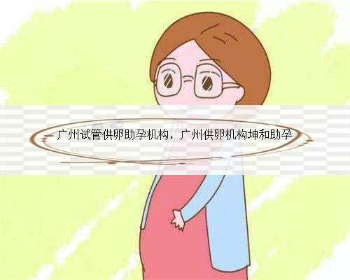 广州试管供卵助孕机构，广州供卵机构坤和助孕