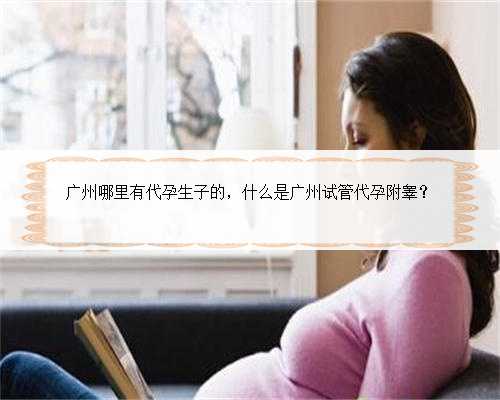 广州哪里有代孕生子的，什么是广州试管代孕附睾？