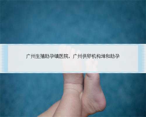 广州生殖助孕镇医院，广州供卵机构坤和助孕