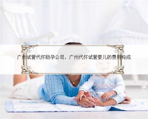 广州试管代怀助孕公司，广州代怀试管婴儿的费用构成