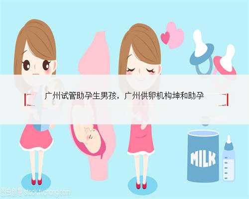 广州试管助孕生男孩，广州供卵机构坤和助孕