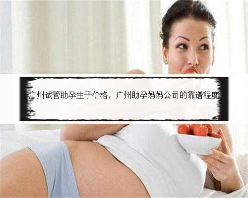 广州试管助孕生子价格，广州助孕妈妈公司的靠谱程度