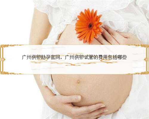 广州供卵助孕官网，广州供卵试管的费用包括哪些