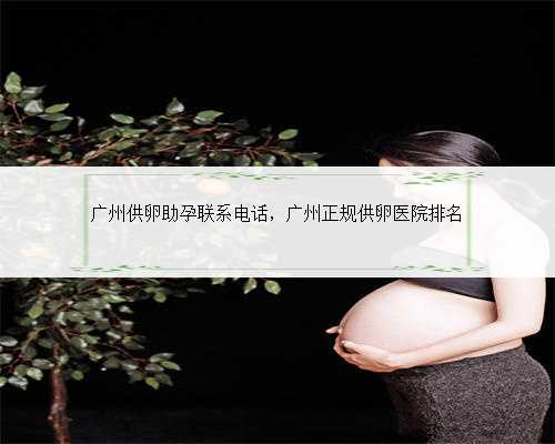 广州供卵助孕联系电话，广州正规供卵医院排名