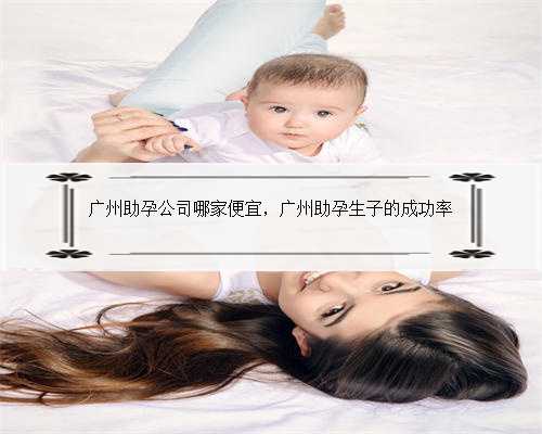广州助孕公司哪家便宜，广州助孕生子的成功率