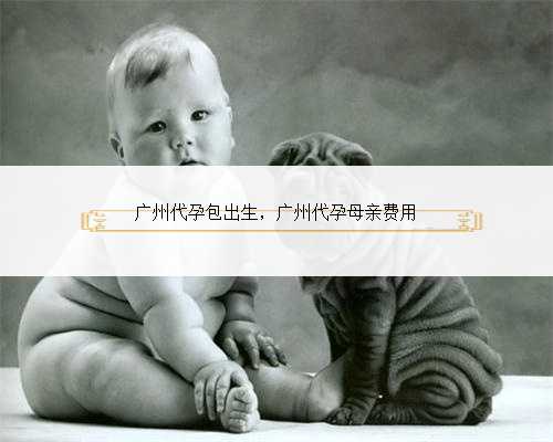 广州代孕包出生，广州代孕母亲费用