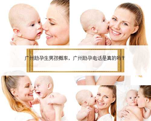 广州助孕生男孩概率，广州助孕电话是真的吗？