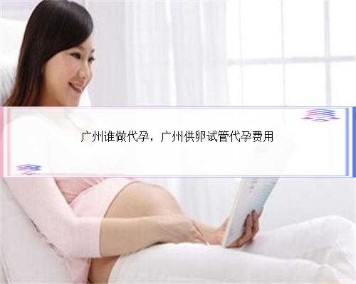 广州谁做代孕，广州供卵试管代孕费用