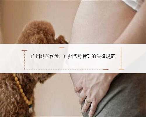 广州助孕代母，广州代母管理的法律规定