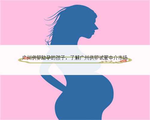 广州供卵助孕的孩子，了解广州供卵试管中介市场