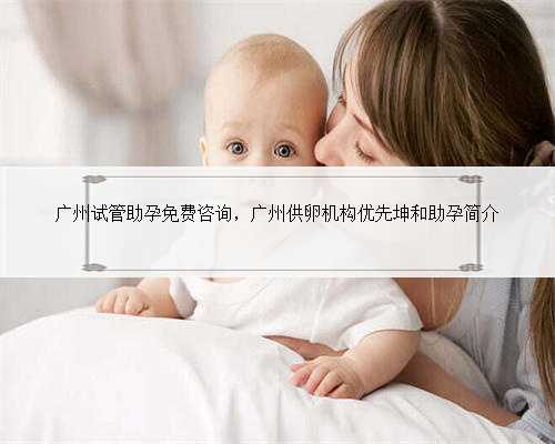 广州试管助孕免费咨询，广州供卵机构优先坤和助孕简介