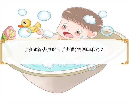 广州试管助孕哪个，广州供卵机构坤和助孕