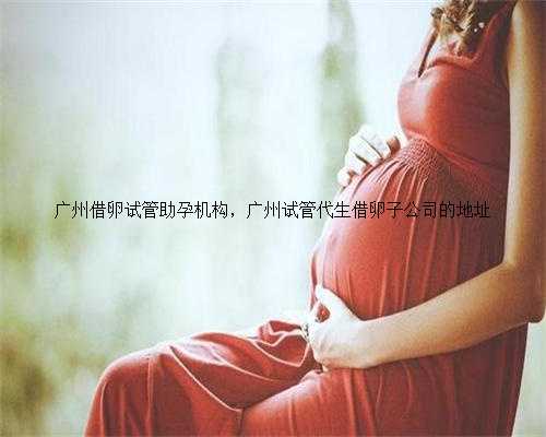 广州借卵试管助孕机构，广州试管代生借卵子公司的地址