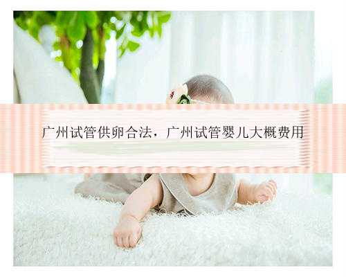 广州试管供卵合法，广州试管婴儿大概费用