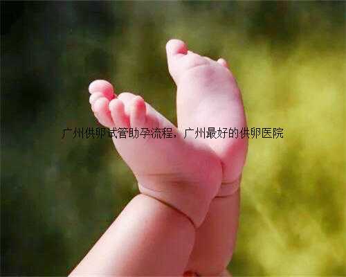 广州供卵试管助孕流程，广州最好的供卵医院